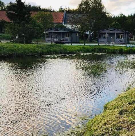 Holiday home Sosnowy Zakatek Stegna- Letniskowe
